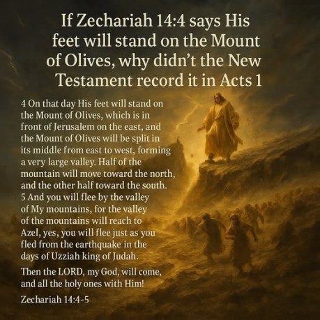 poster Zechariah - If Zechariah 14:4 says His feet will stand on the Mount of Olives, why didn't the New Testament record it in Acts 1? 