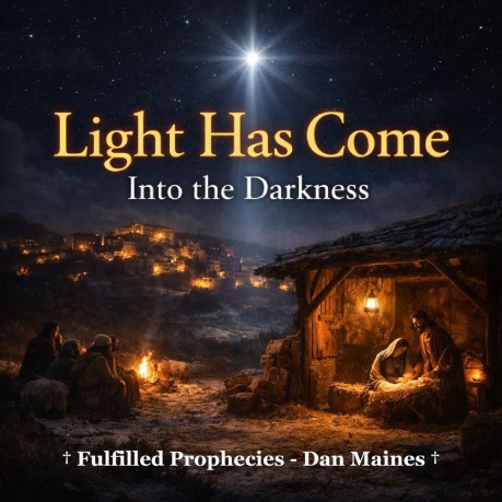 poster Christmas - Light Has Come Into the Darkness